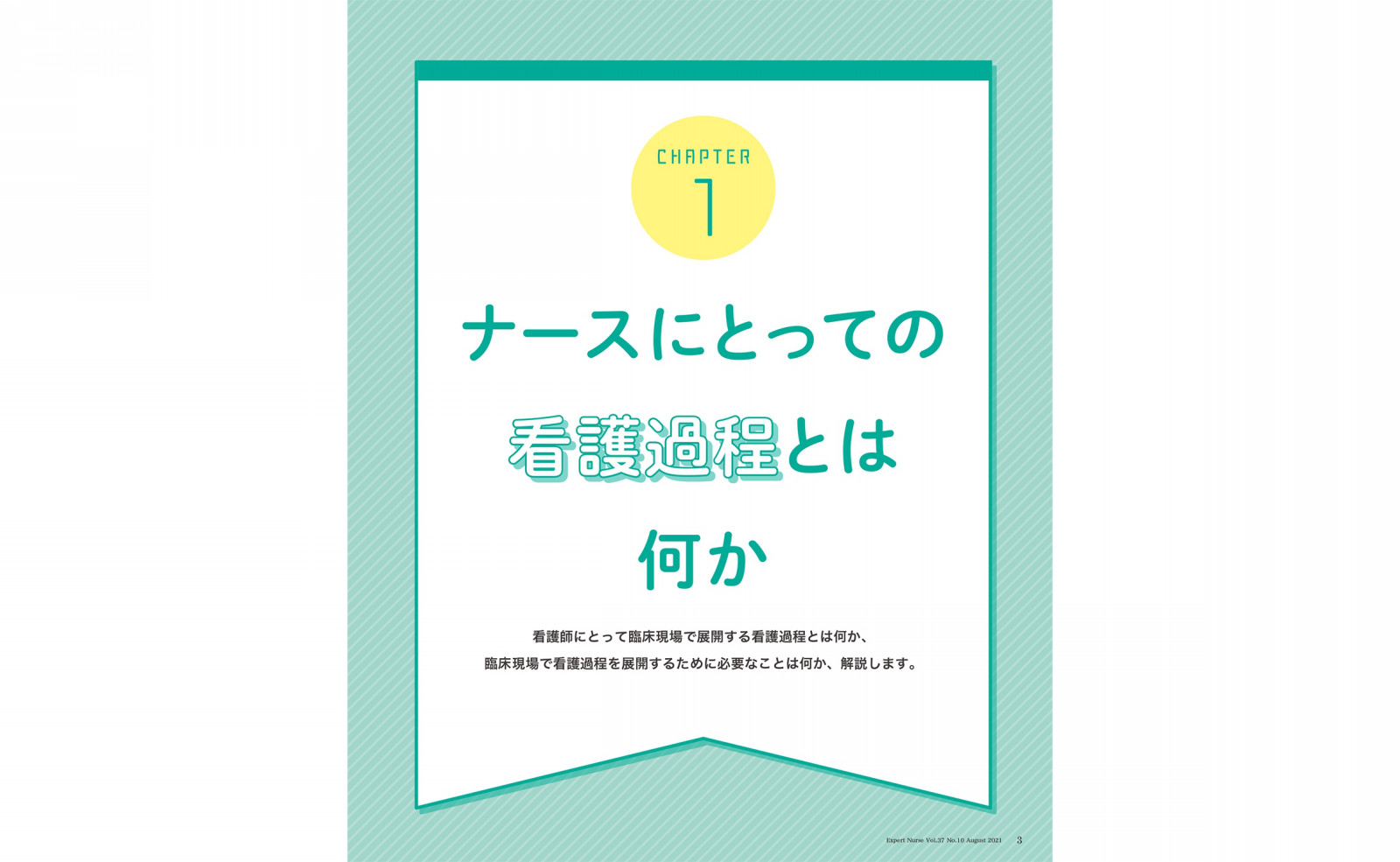 CHAPTER 1 ナースにとっての看護過程とは何か