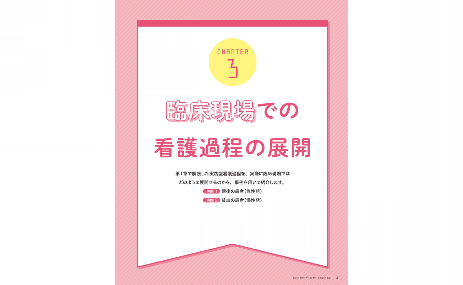 CHAPTER 3 臨床現場での看護過程の展開