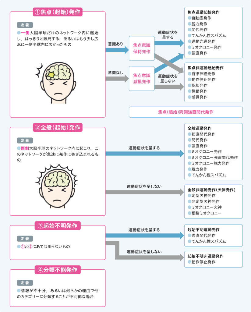 てんかんの新分類 図解でわかりやすく解説 | エキスパートナースweb