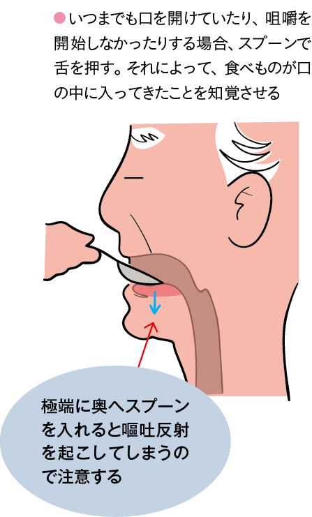 嚥下開始を促す食事介助