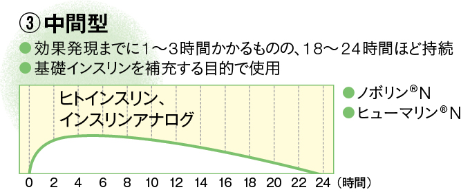 インスリン中間型の説明図