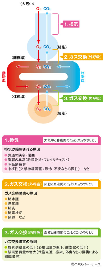 頻呼吸の原因の図