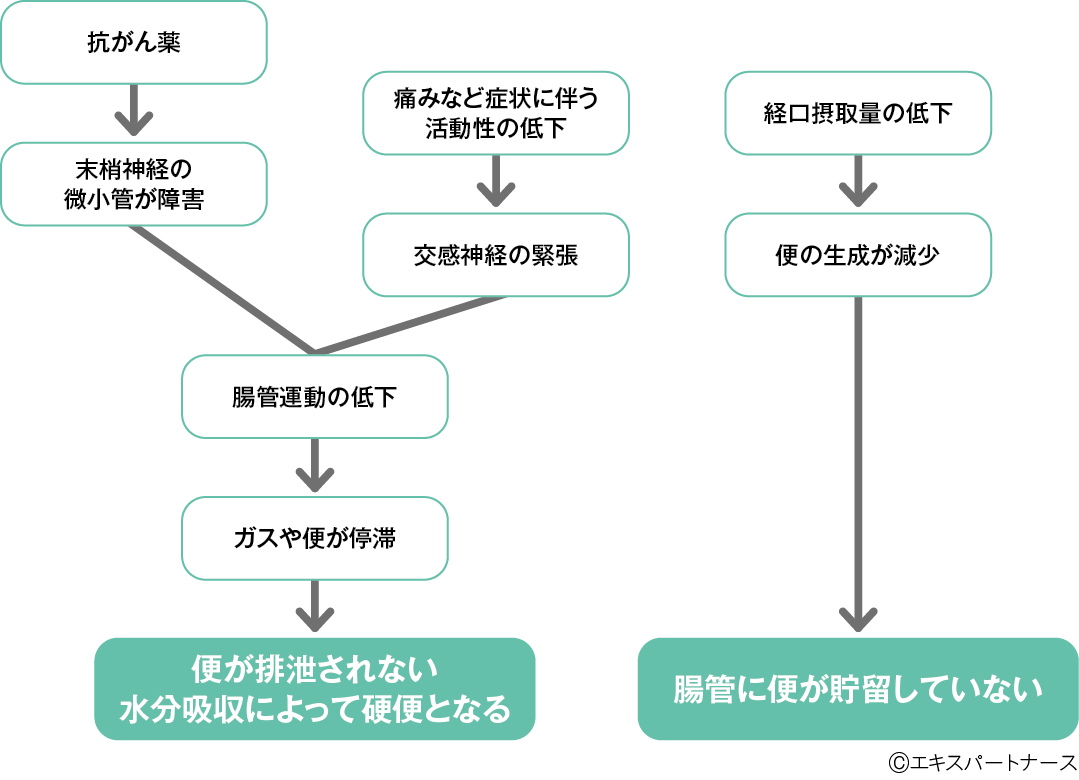 抗がん薬による便秘のしくみ