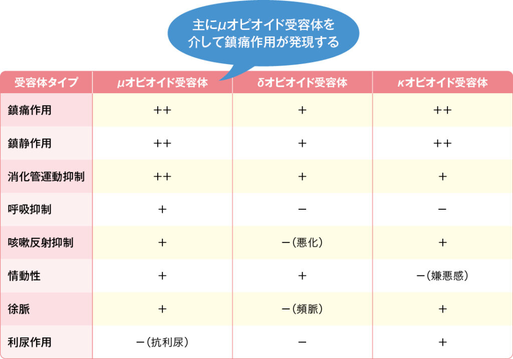 オピオイド受容体別の薬理作用の特徴