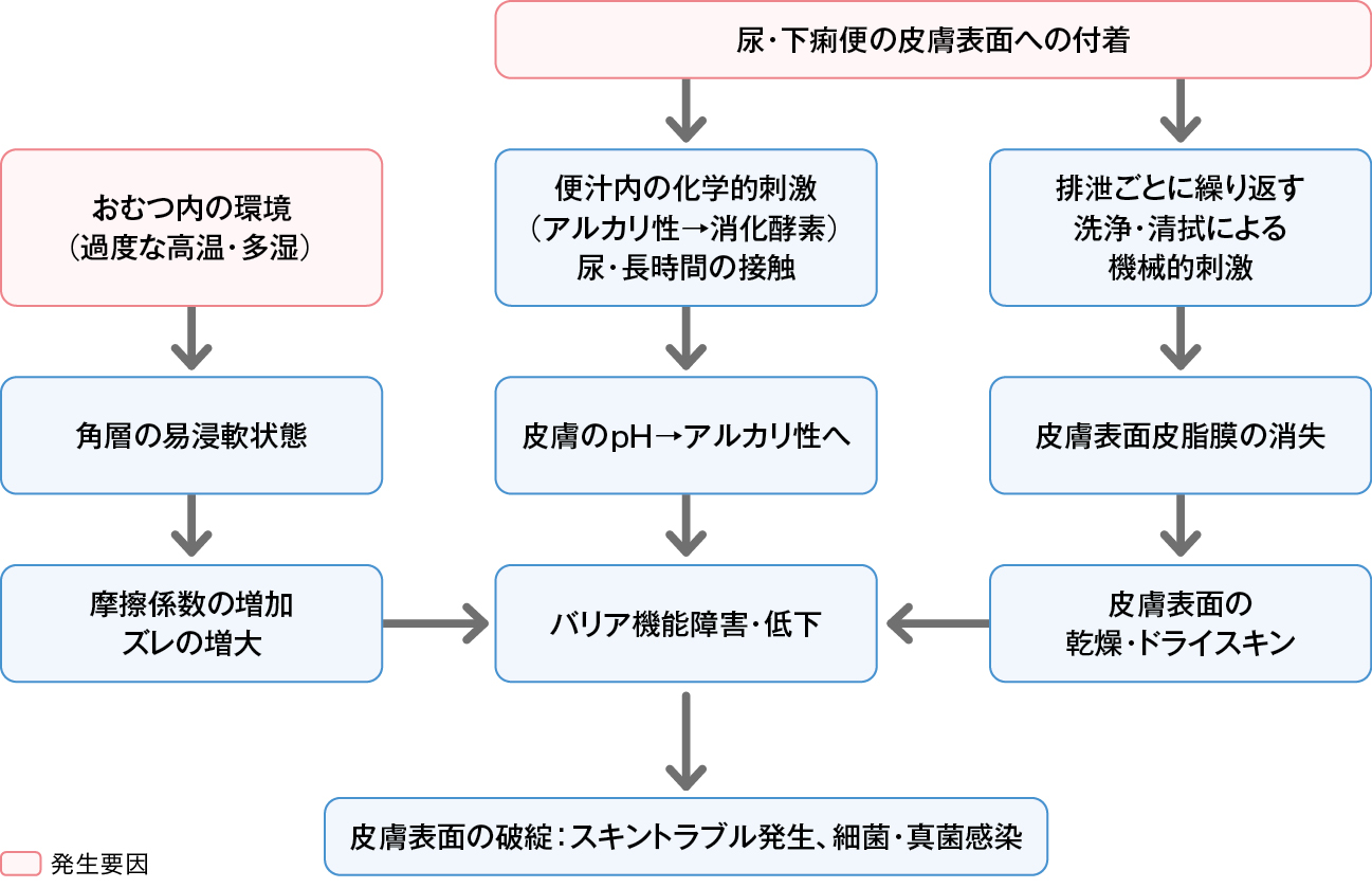 失禁によるスキントラブルのメカニズム