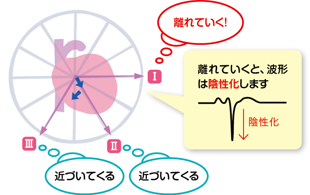 心室の筋肉が収縮（興奮）するとき４