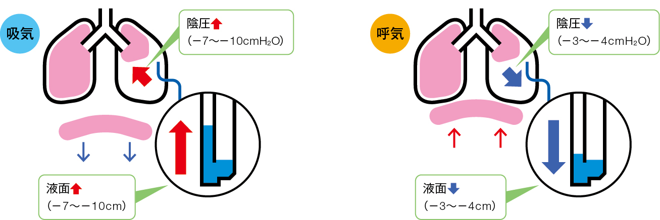 呼吸性変動の説明図