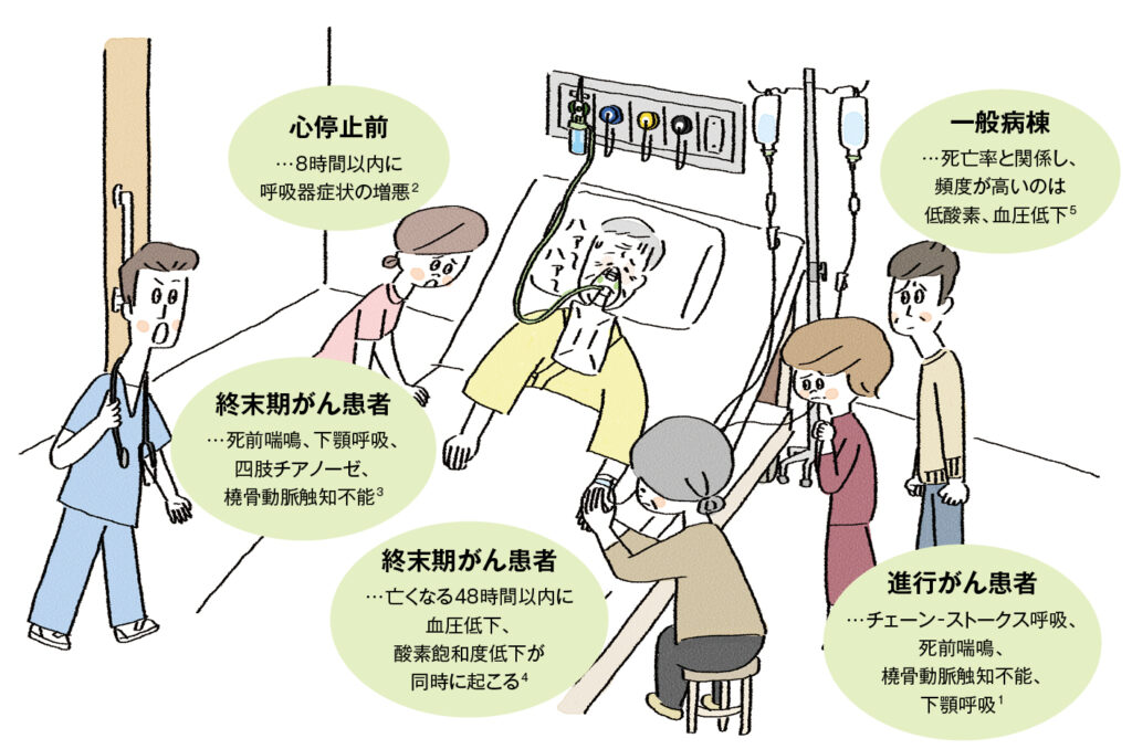 終末期のバイタルサイン変化