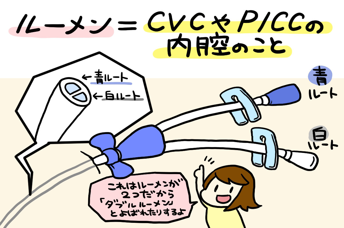 ルーメンイラスト2
