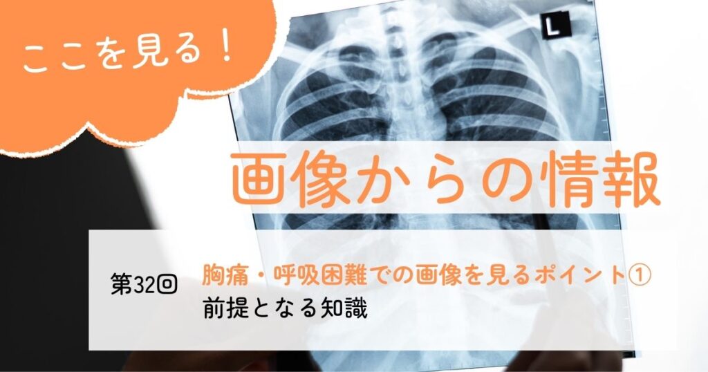 画像からの情報ここを見る！【第32回】胸痛・呼吸困難での画像を見るポイント①前提となる知識