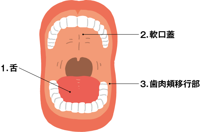 細菌測定