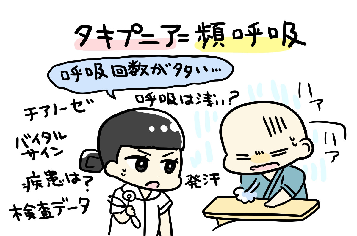 タキプニアのイラスト2