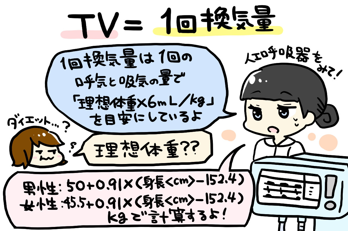 TV2