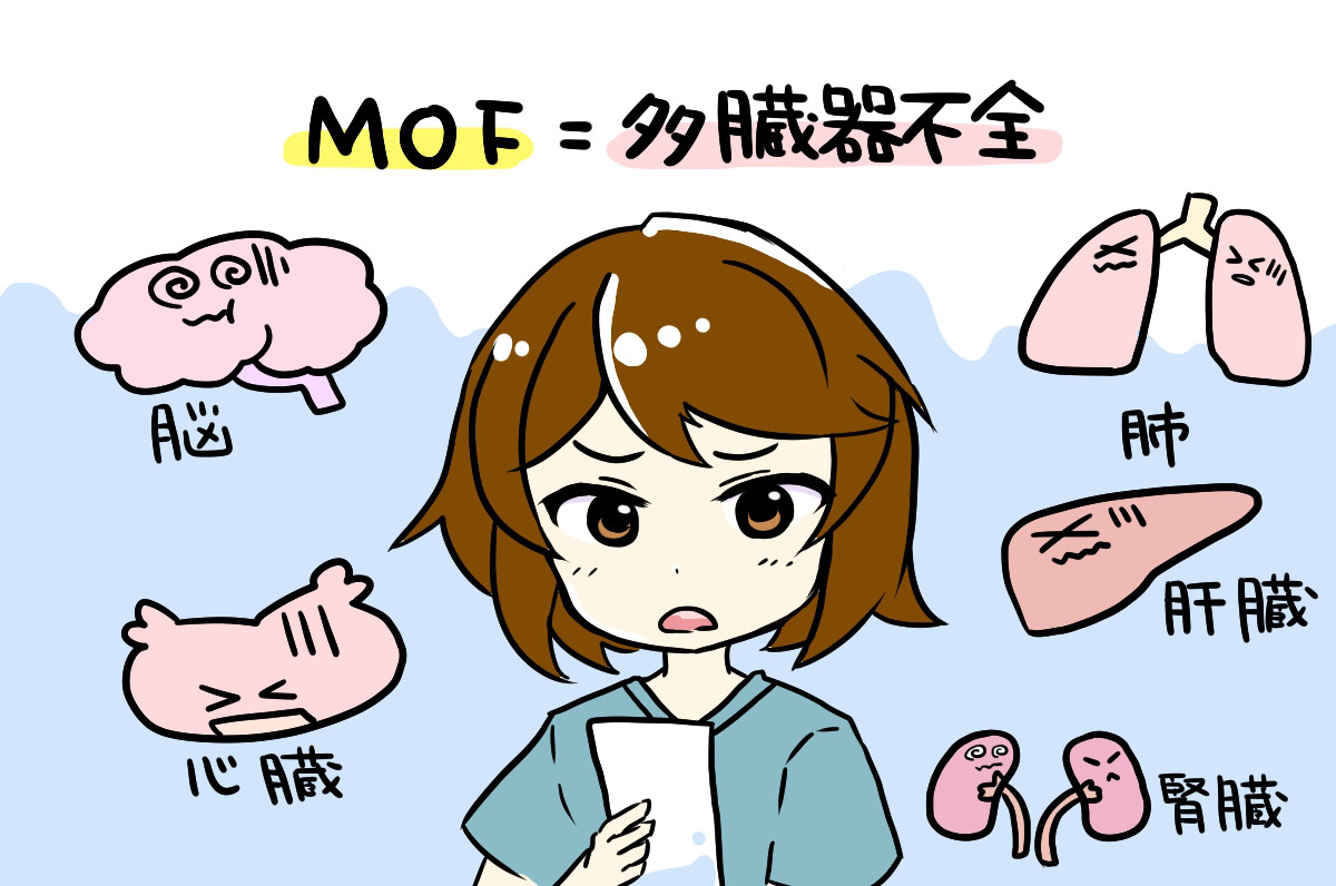 MOF2