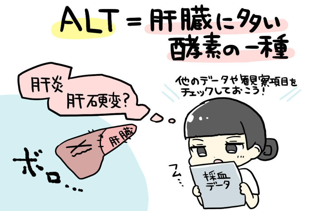 ALTイラスト2