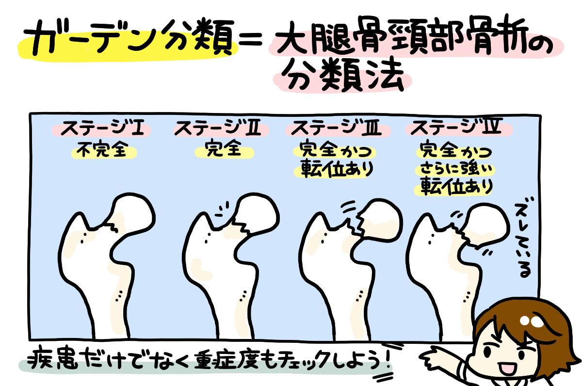 ガーデン分類2