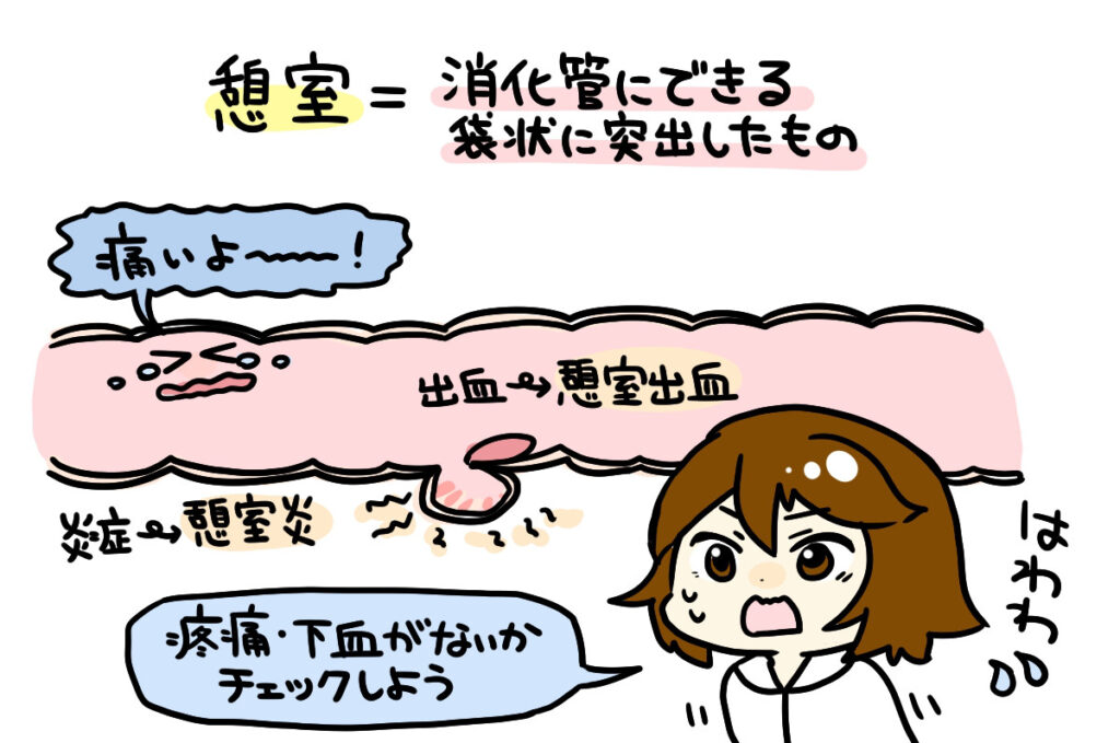 憩室2