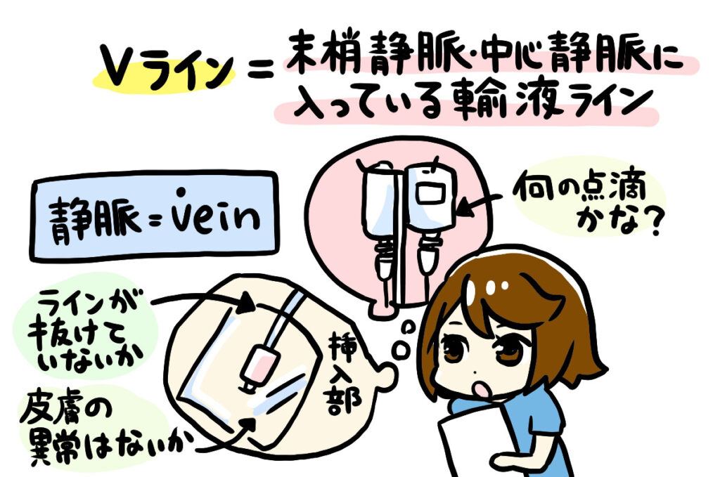 Vライン2