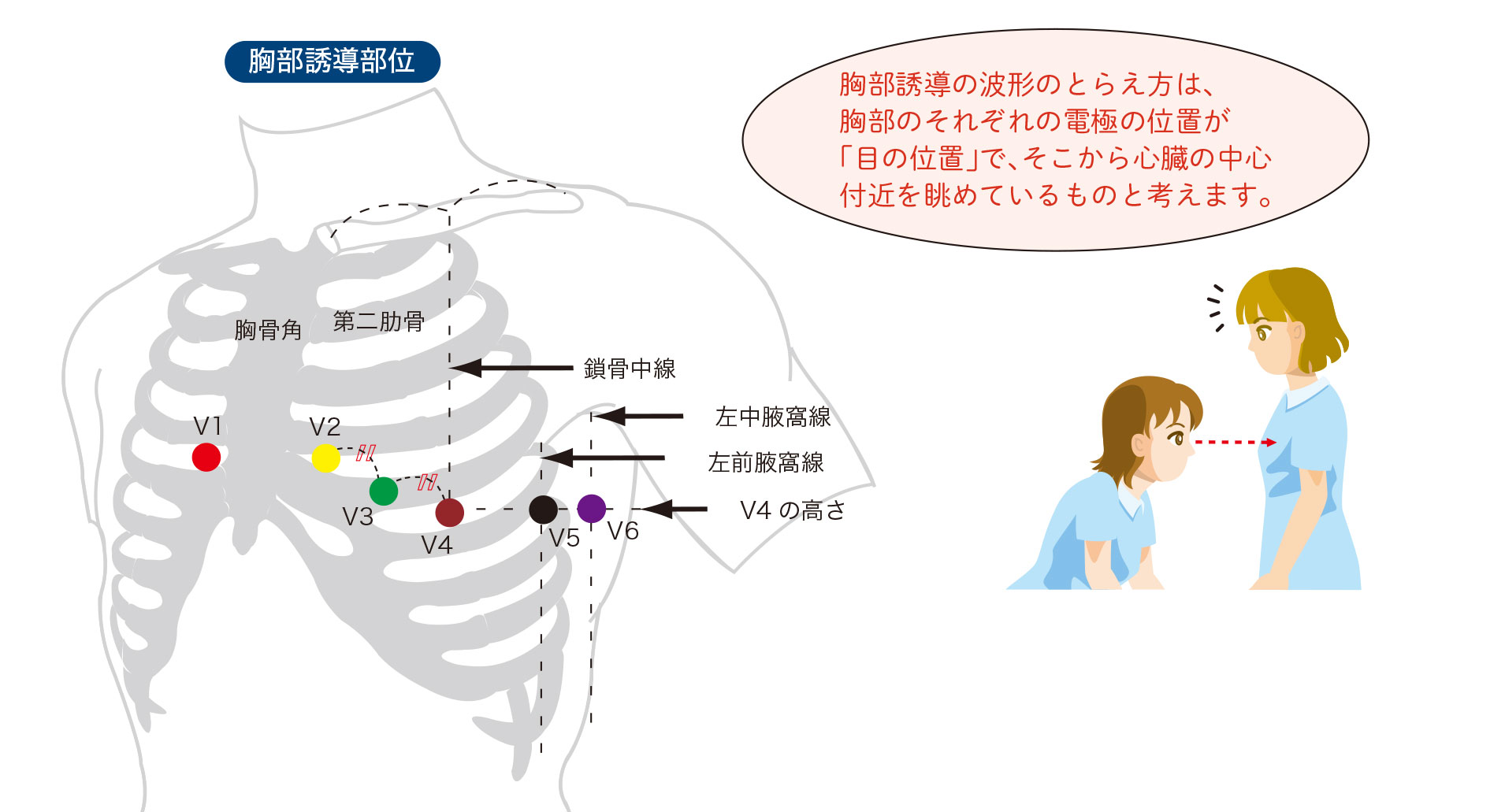 胸部誘導の目の位置