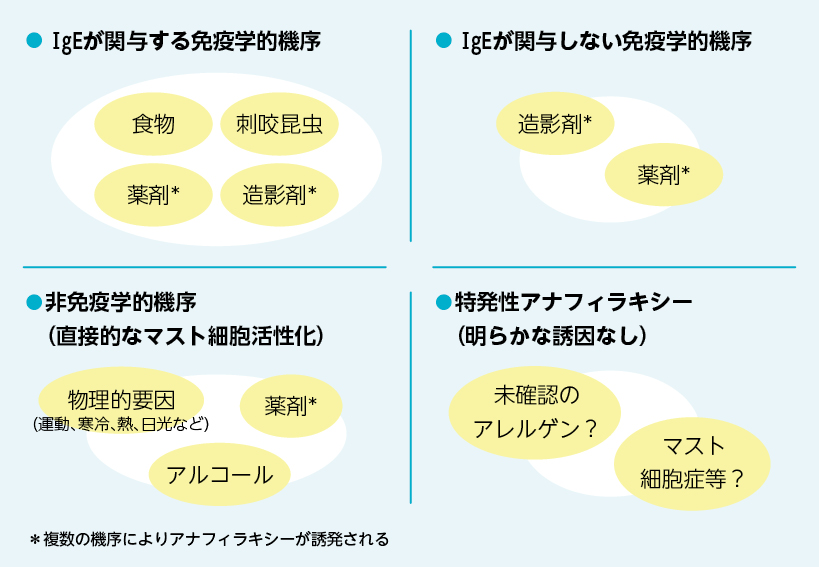 アナフィラキシーの機序