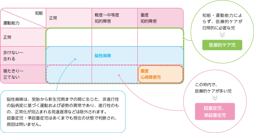 医療的ケア児に関連する用語の整理