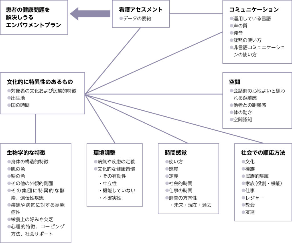 文化のアセスメントモデル