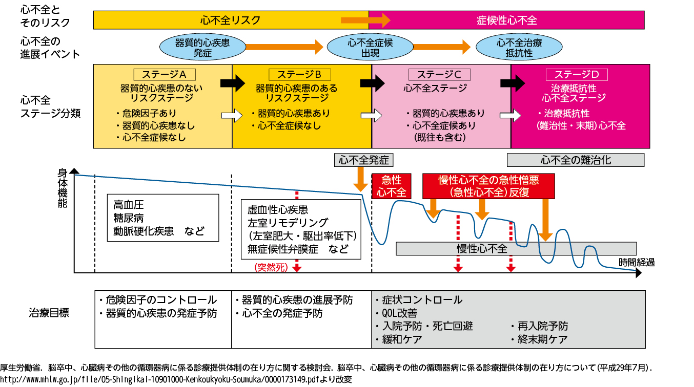 心不全とそのリスクの進展ステージ