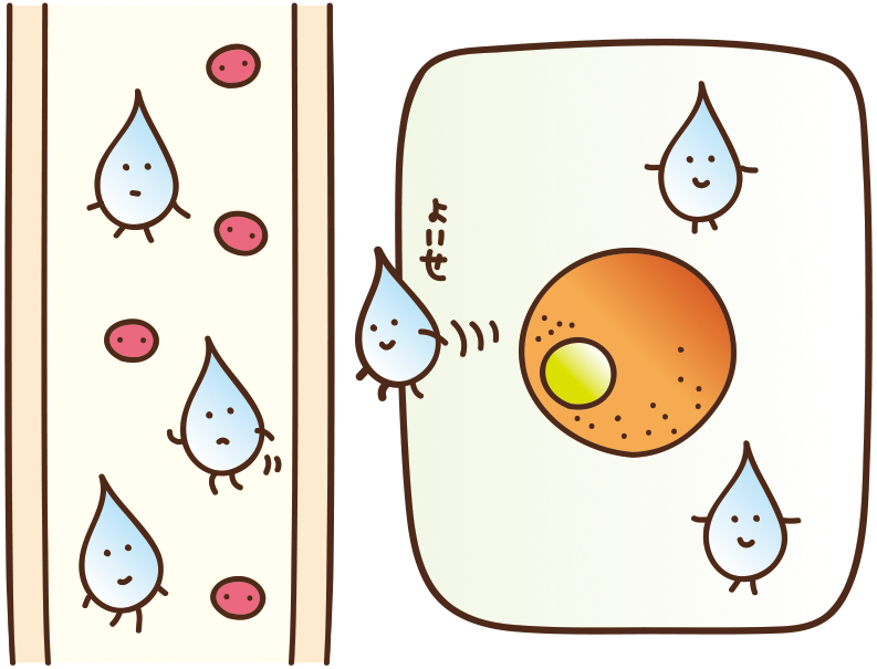 濃度の薄いほうから、濃いほうへと水が移動