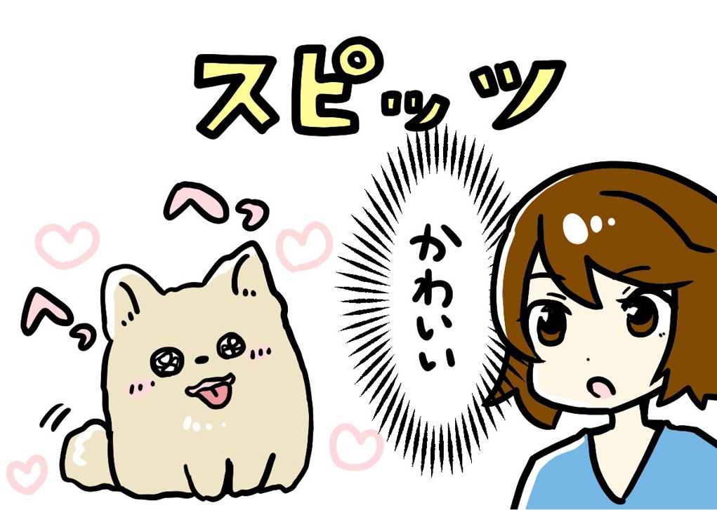 スピッツイラスト1