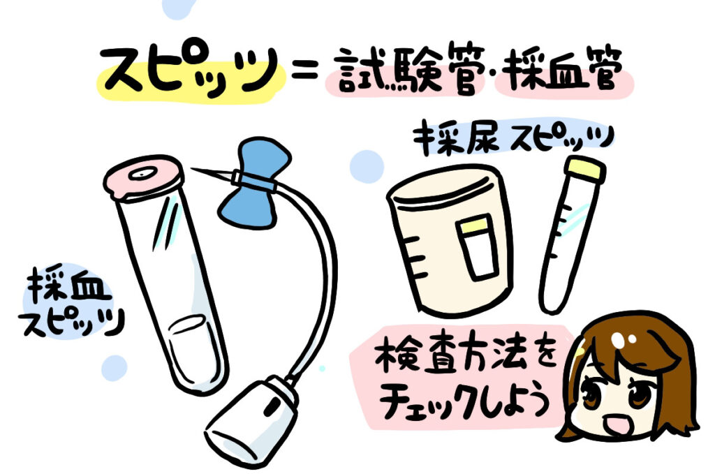 スピッツイラスト2