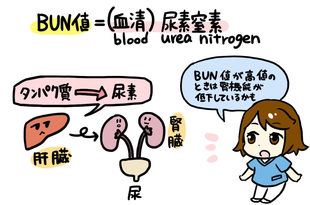 BUNイラスト2