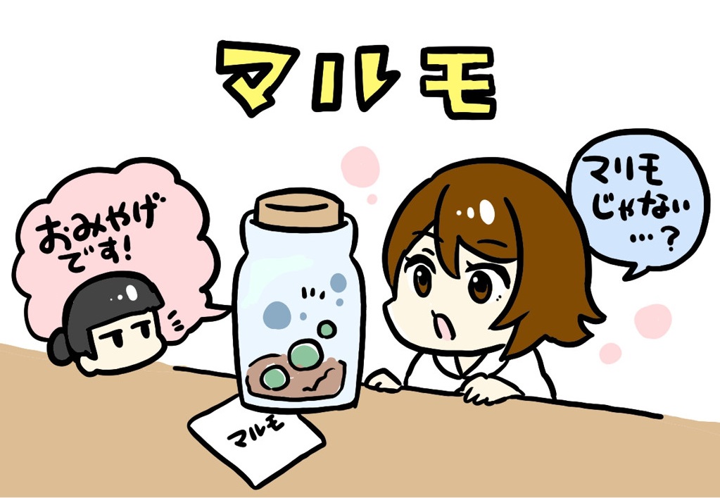 マルモイラスト1