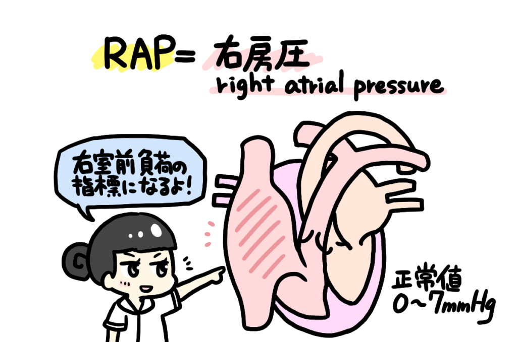 RAPイラスト2