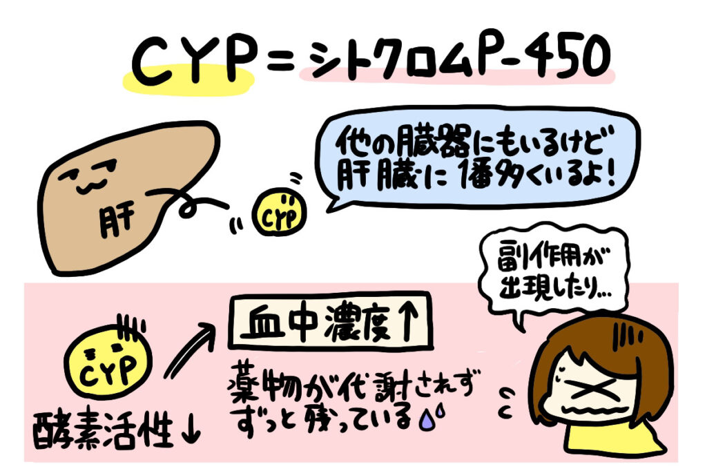 CYPイラスト2