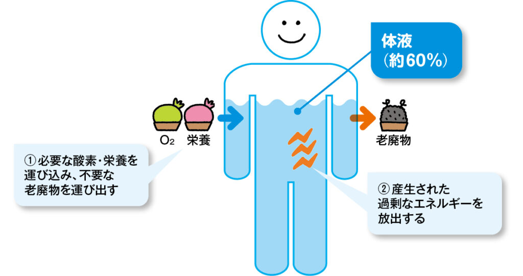 体液の機能