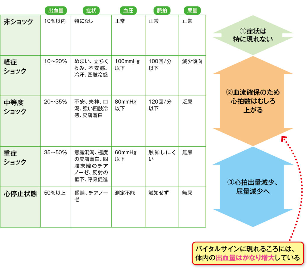 出血性ショックにおける出血量と症状