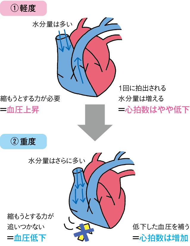 溢水による血圧・心拍数への影響
