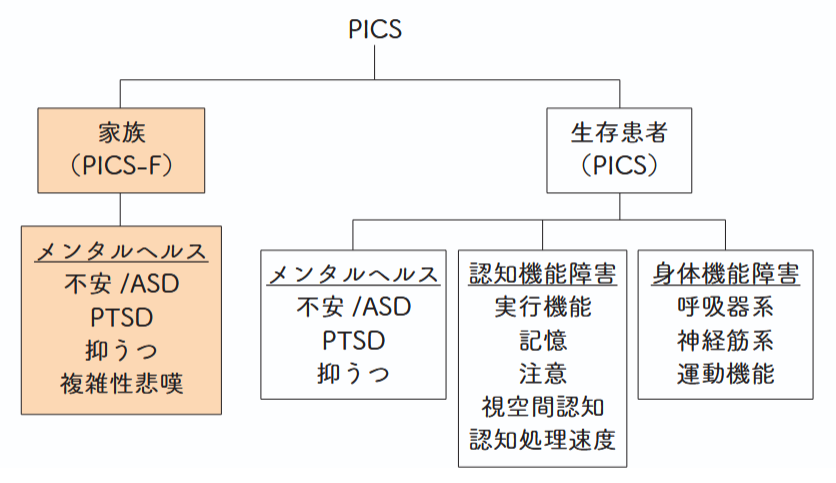 PICS-Fの図