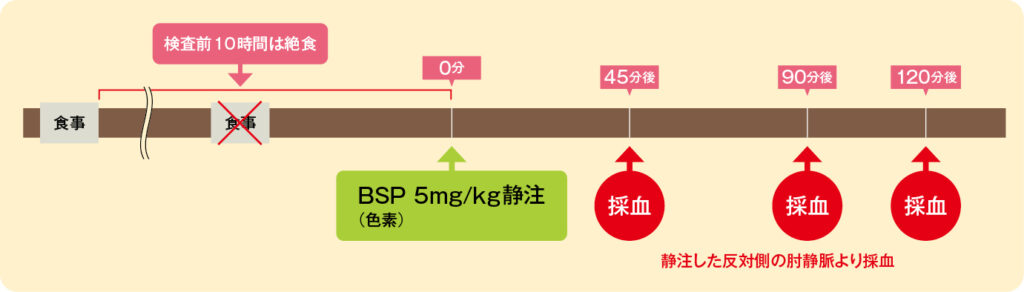 BSP試験の実施手順