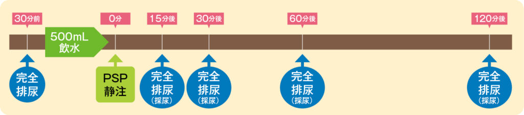 PDP試験の実施手順