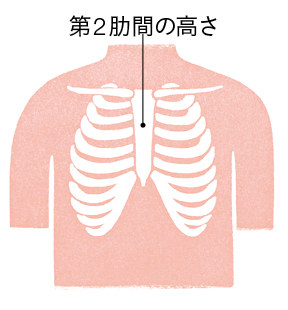 胸骨のイラスト