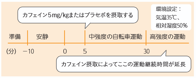 暑熱下運動中のカフェイン摂取研究における実験内容