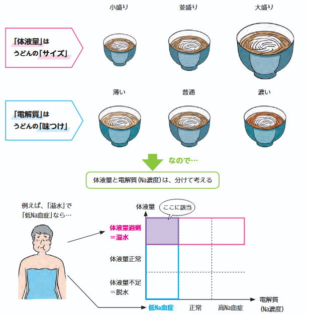 体液量と電解質のイメージ図（うどんを例に）