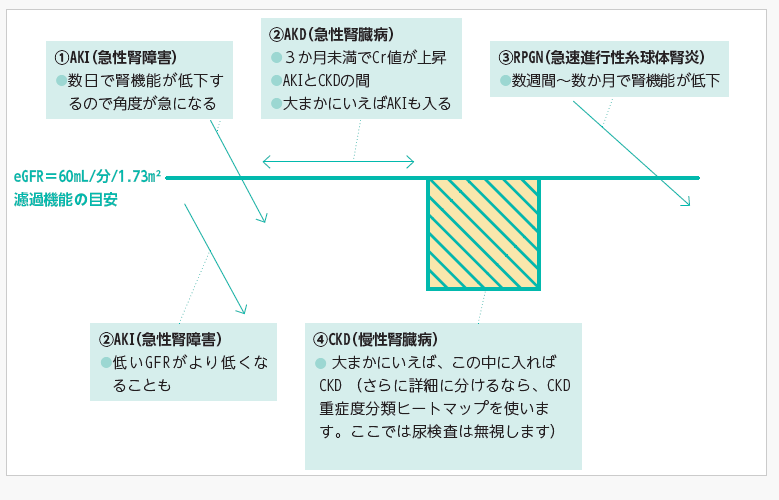 腎臓病に関連する病態とその関係性のイメージのイラスト