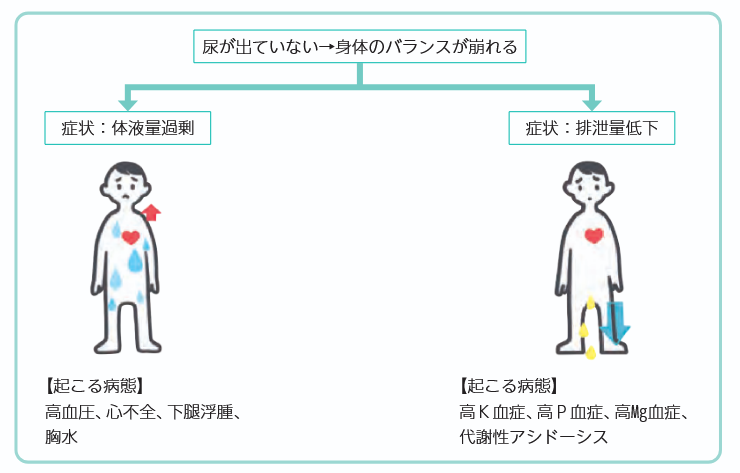 腎臓病急性期に起こる症状の図