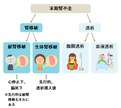 腎代替療法の分類図