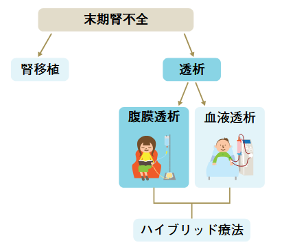 腎代替療法の分類図