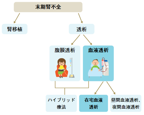 腎代替療法の分類図
