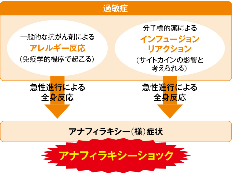 過敏症・アナフィラキシーショックの理解の解説図