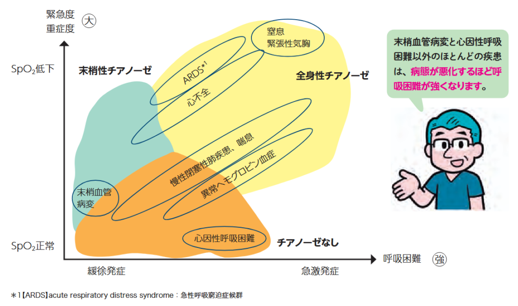 呼吸困難とチアノーゼによる疾患群の分類の図